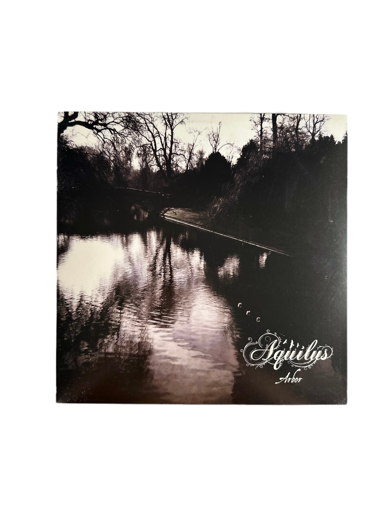 Aquilus— Arbor