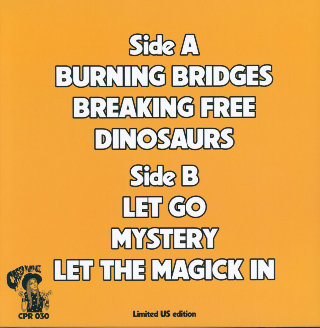 Black Magick SS— Burning Bridges Vinyl LP 2025 Creep Purple CPR030 - Image 2